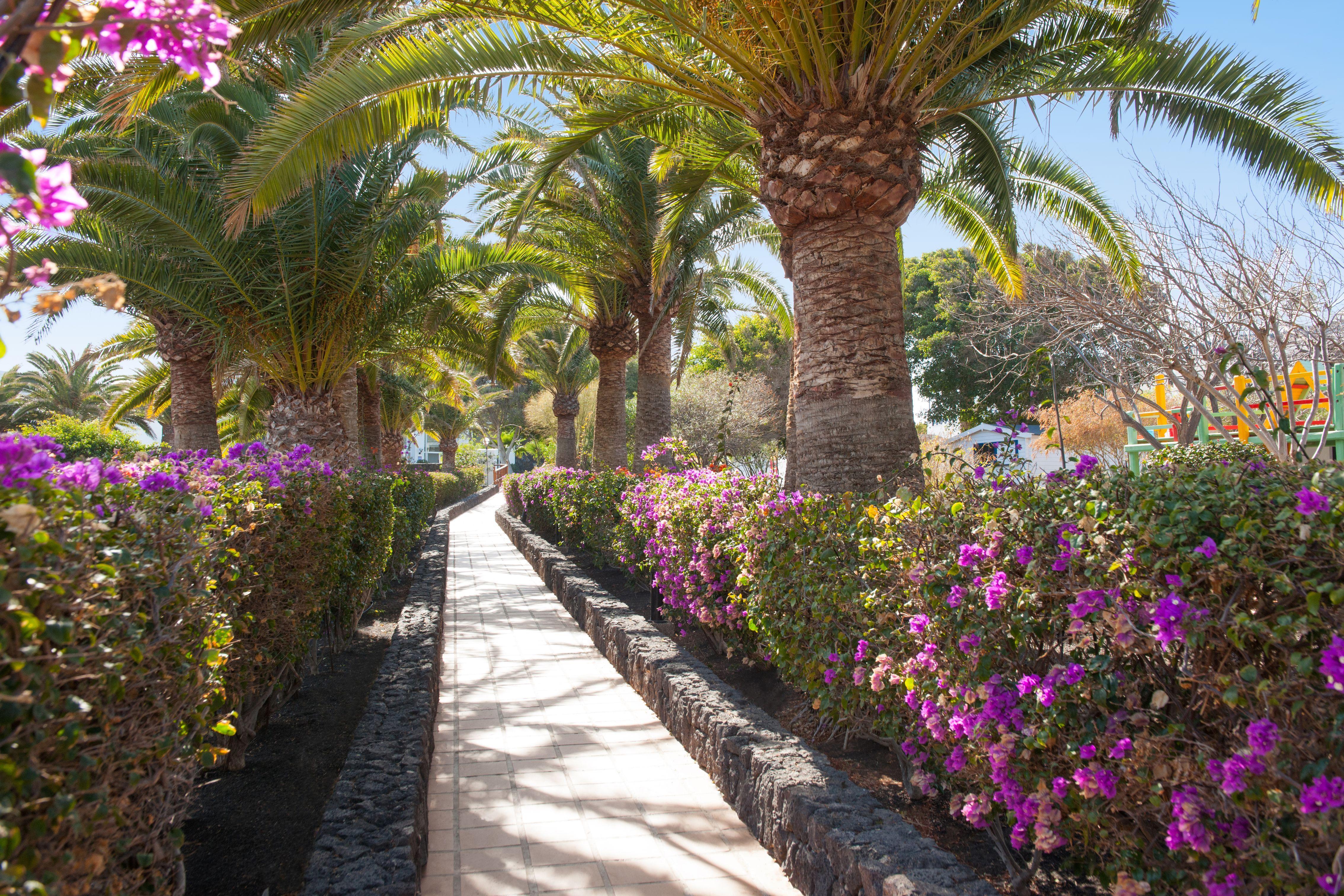 Relaxia Olivina Hotel Puerto del Carmen  Kültér fotó